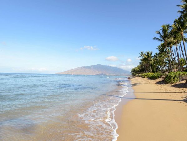 Ocean Front Luxury 12 Bedroom Vacation Rental