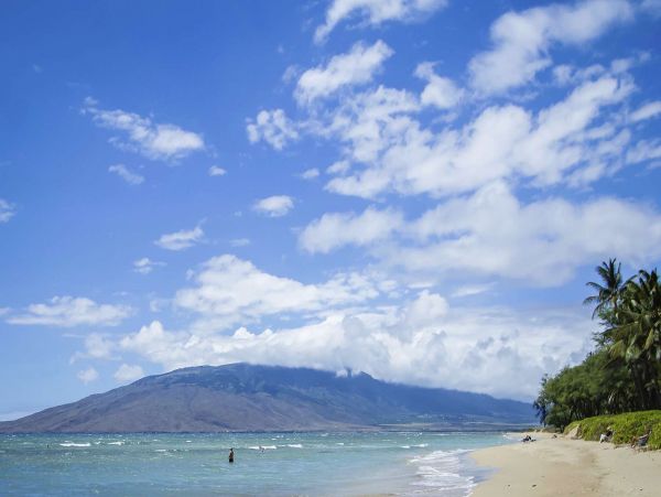 Ocean Front Luxury 12 Bedroom Vacation Rental