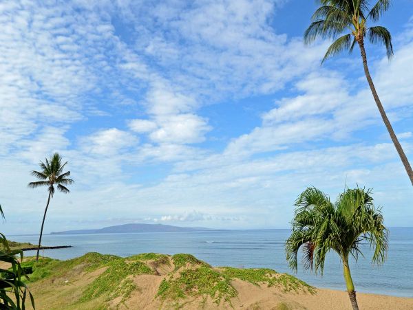 Ocean Front Luxury 12 Bedroom Vacation Rental