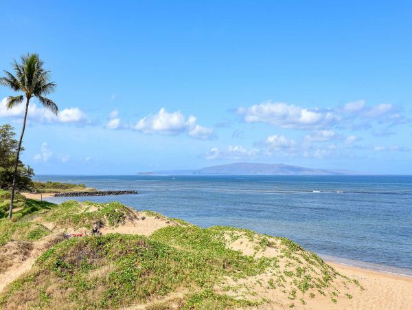Ocean Front Luxury 12 Bedroom Vacation Rental