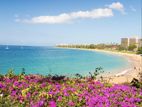 Magnificent Vacation Villa Kaanapali West Maui Paradise