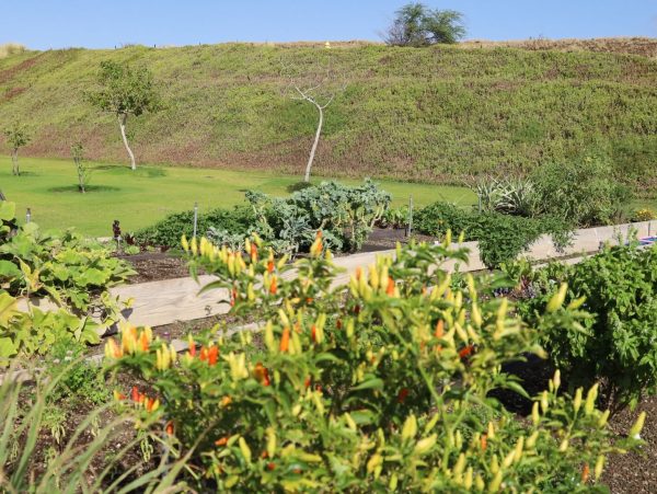 Big Island Vacation Rental - Hawaii Luxury Home with Pool & Ocean Views