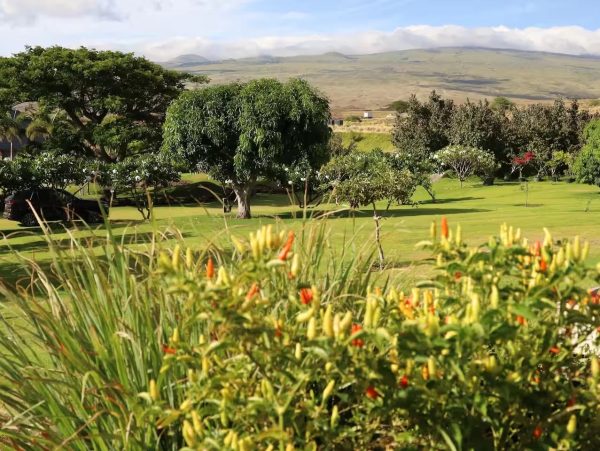 Big Island Vacation Rental - Hawaii Luxury Home with Pool & Ocean Views