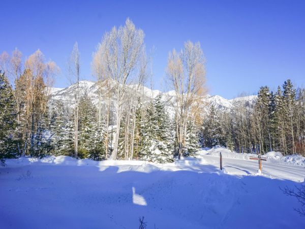 Wilson Vacation Condo Sleeps 7 Guests