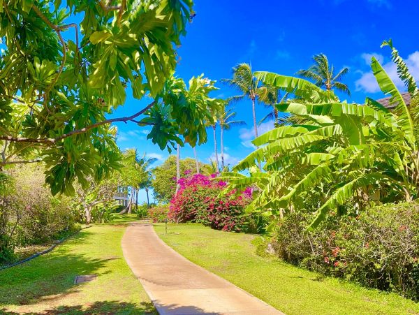 Perfect Getaway with 4 Bedrooms & Great Amenities