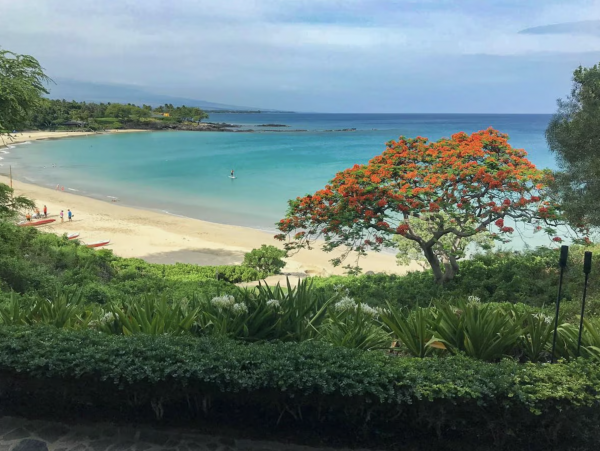Single Level Four Bedroom Luxury Vacation Villa Waimea