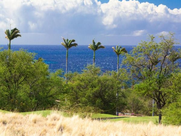 Luxury Hawaiian Retreat Beach Club Access - Waimea Vacation Villa