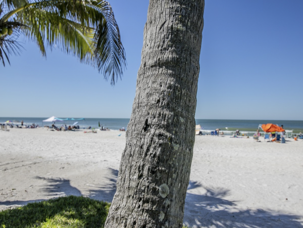 Just In! What A Lovely New 2 Bedroom Beach Condo in Holmes Beach
