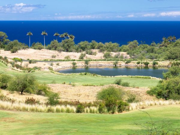Luxury 3 Bedroom Rental in Kohala Coast with Amazing Views