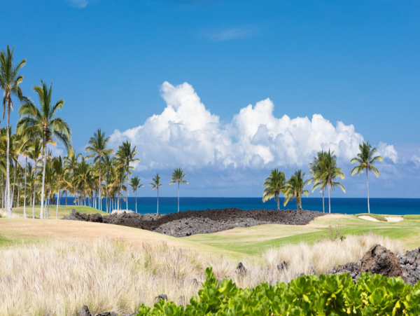 Coastal Getaway with 3 Bedrooms & Amazing Views
