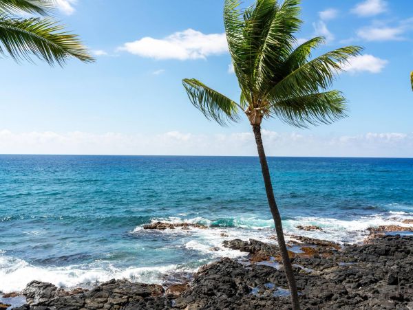 Pacific Views Best Rental Ever Big Island Three Bedroom