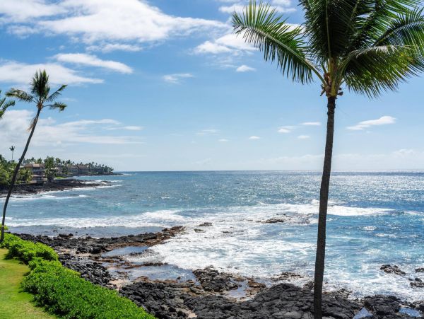 Pacific Views Best Rental Ever Big Island Three Bedroom