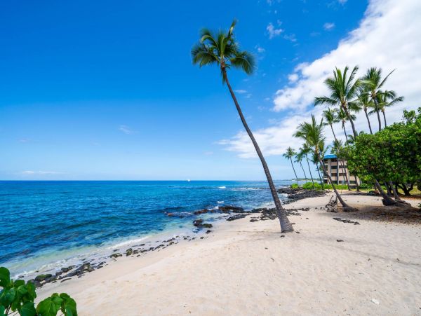 Pacific Views Best Rental Ever Big Island Three Bedroom