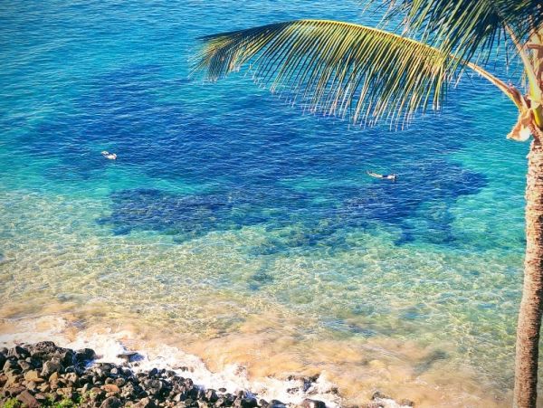 Oceanfront Vacation Condo Three Bedrooms & Ocean Views