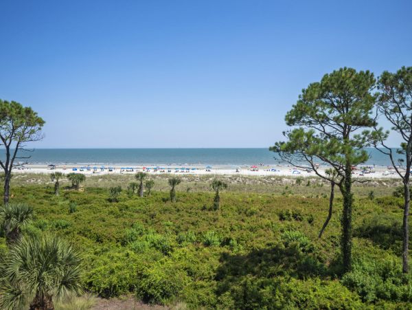 Oceanfront Vacation Condo on the 4th Floor
