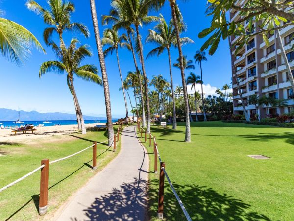 Garden Ground Floor Three Bedroom Vacation Condo