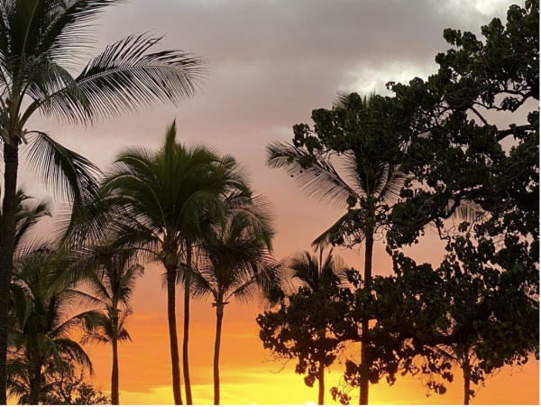 Truly Exceptional Villa Sleeps Ten Guests