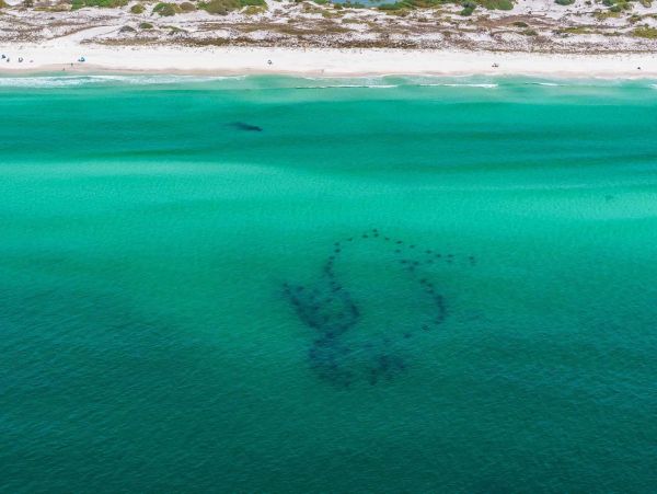 Santa Rosa Beach Vacation Pool Condo - Walking Distance to the Beach