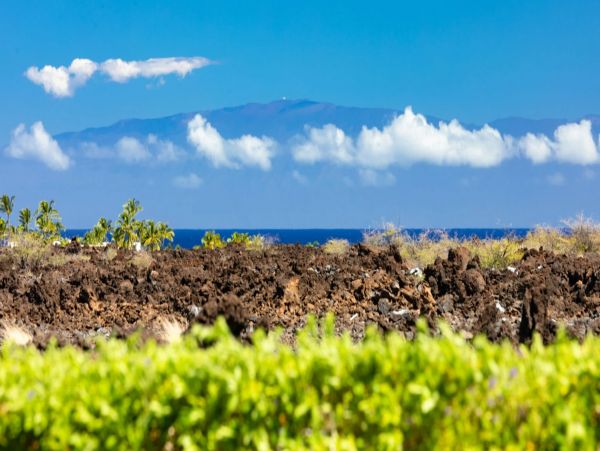 Luxury Four Bedroom Vacation Home in Kohala Coast