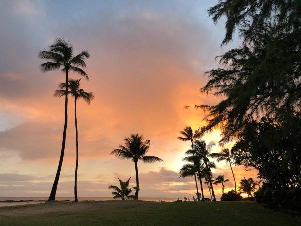 Beautiful Home in Poipu with Ocean Views