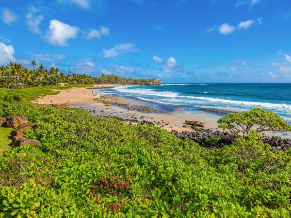 Beautiful Home in Poipu with Ocean Views
