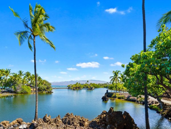 Waimea Vacation Rental with Great Views