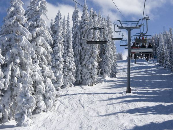 Gorgeous Condo with 3 Bedrooms in Vail