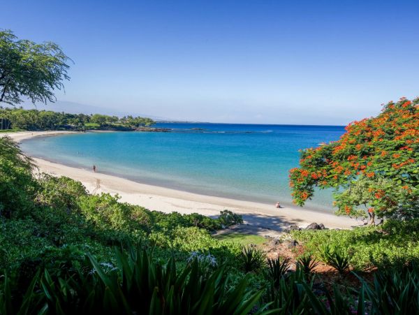 Wonderful Single-Level 3 Bedroom Vacation Rental