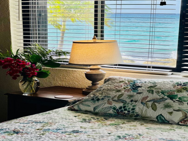 St. Croix Vacation Rental: Beachfront Tranquility & Tropical Charm