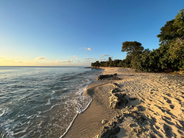 St. Croix Vacation Rental: Beachfront Tranquility & Tropical Charm
