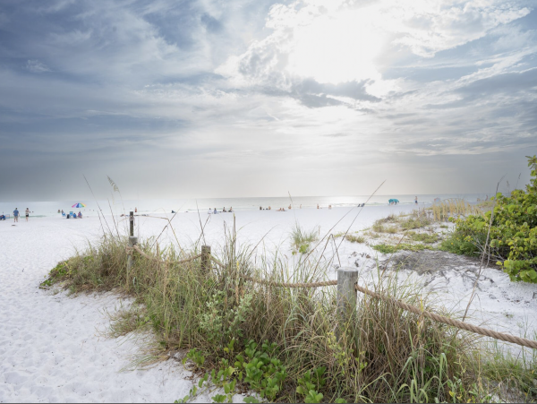 Single Story Free Standing Siesta Key Vacation Villa WOW!