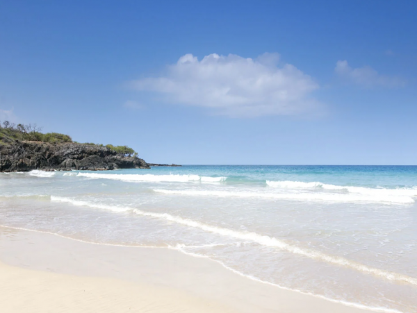 Wonderful Single-Level 3 Bedroom Vacation Rental