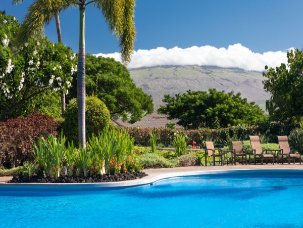 Wonderful Single-Level 3 Bedroom Vacation Rental