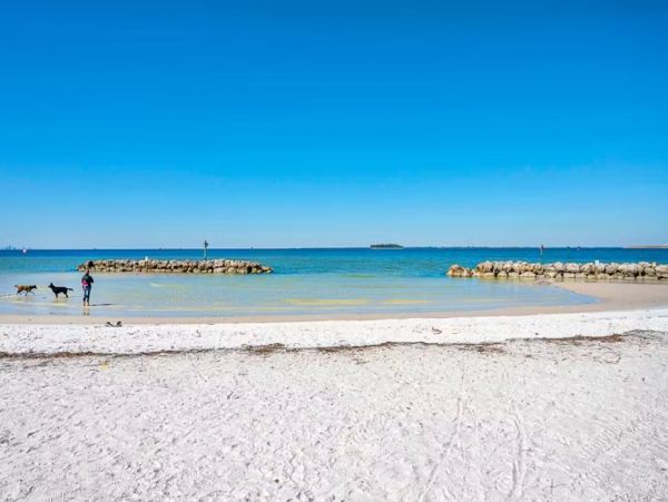 Apollo Beach Vacation Rental Waterfront 3 Bedroom Home with Pool & Dock