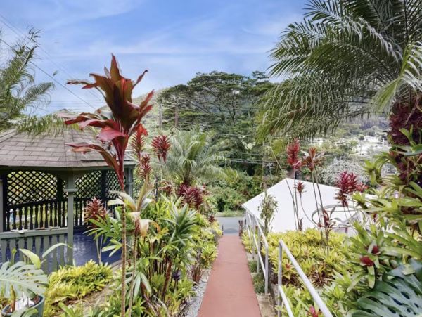 Mountain View Two Bedroom Guest House in Honolulu