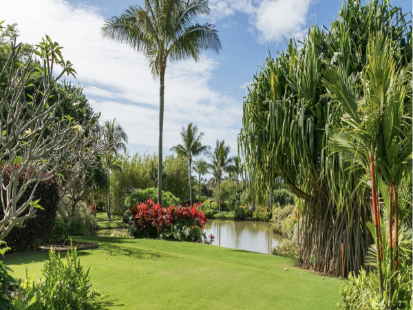 Captivating Island Estate Style Home Away from Home Kauai