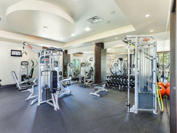 Elegant Naples Condo: Pool, Patio, and Shopping Nearby