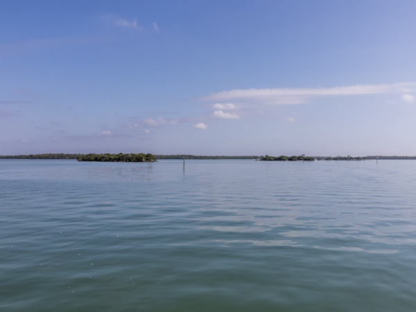 Marco Island Home 1090909