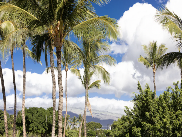 Big Island Villa In Private Resort Setting World Class Amenities