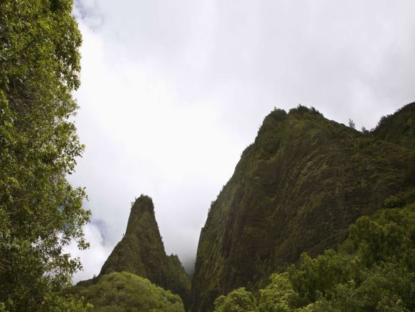 Wailuku Vacation Rental: 3 Beds, Tropical Courtyard, Close to Beaches