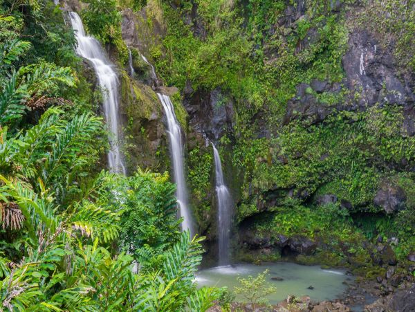 Wailuku Vacation Rental: 3 Beds, Tropical Courtyard, Close to Beaches