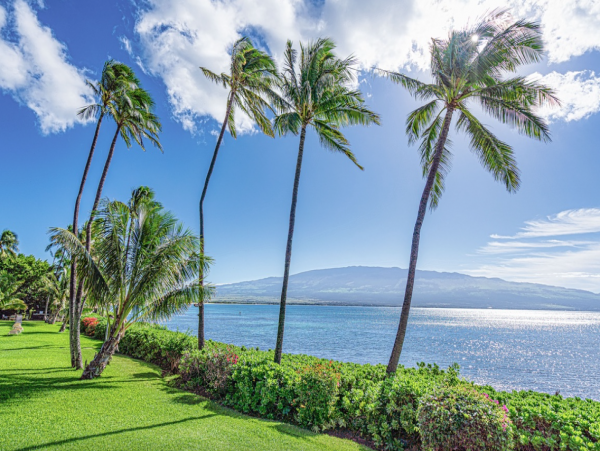 Vacation Rental with 3 Bedrooms & Full Ocean Views