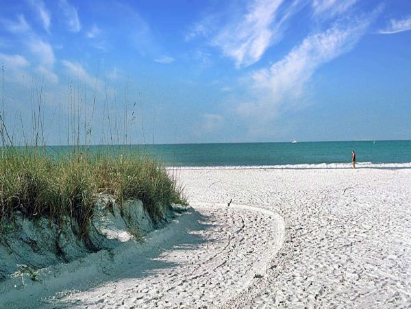 Siesta Key Vacation Condo One Bedroom