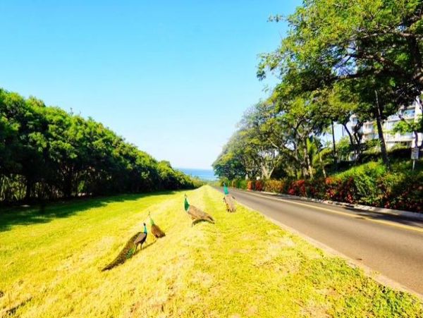 Beautiful Vacation Home in Makaha Ocean Views