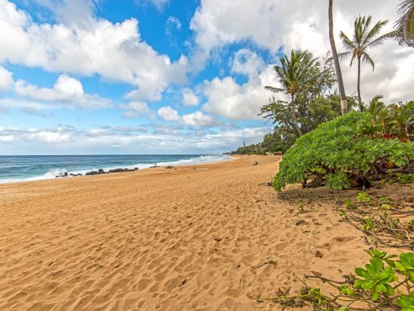 North Shore Ocean & Mountain View 3 Bedroom Vacation Rental