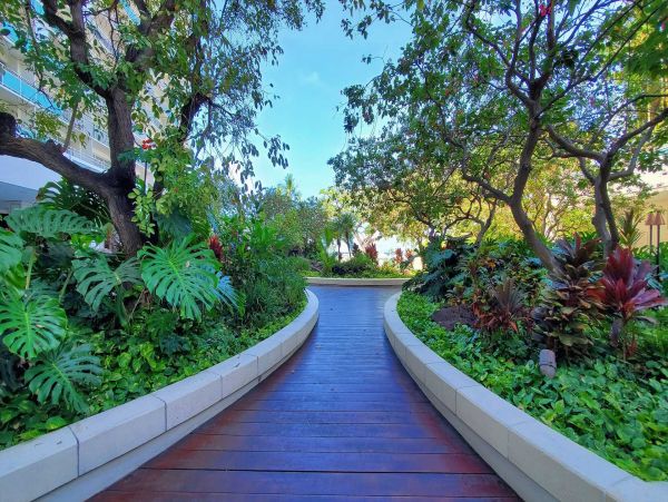 Waikiki Vacation Rental with Ocean Views & Modern Amenities