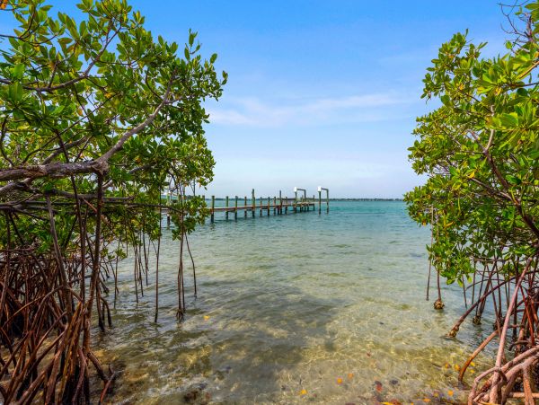 Incredible Oceanfront Oasis with Pool Directly on the Beach in Stuart, FL