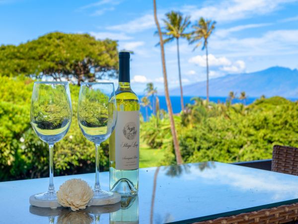 Kaanapali Vacation Rental: Oceanview Home with Pool