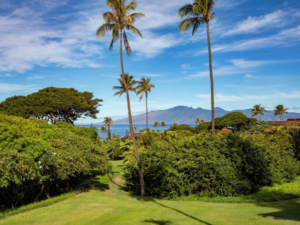 Kaanapali Vacation Rental: Oceanview Home with Pool