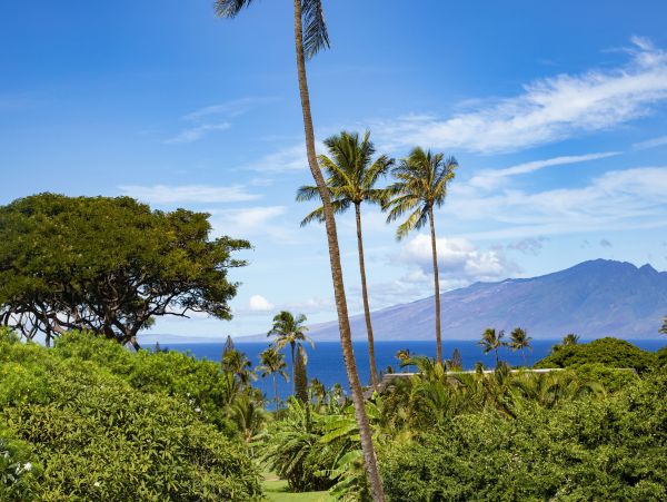 Kaanapali Vacation Rental: Oceanview Home with Pool